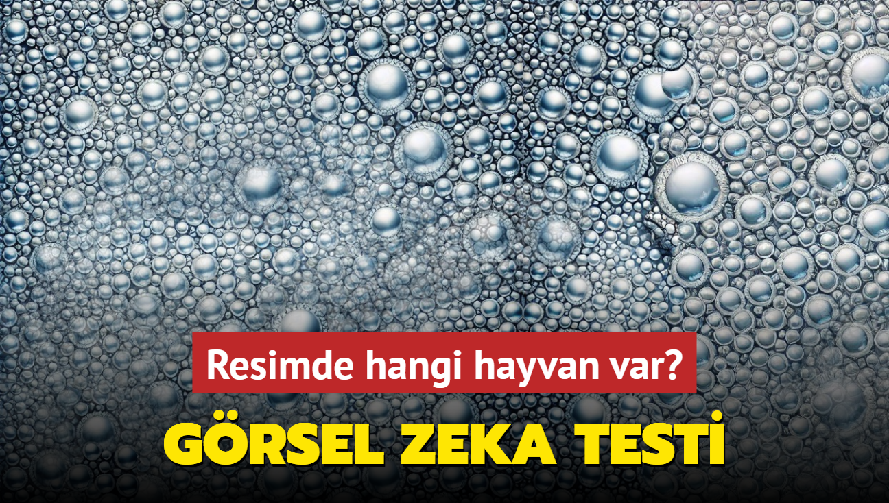 Grsel zeka testi: Resimde hangi hayvan var" 7 saniyede grenler...