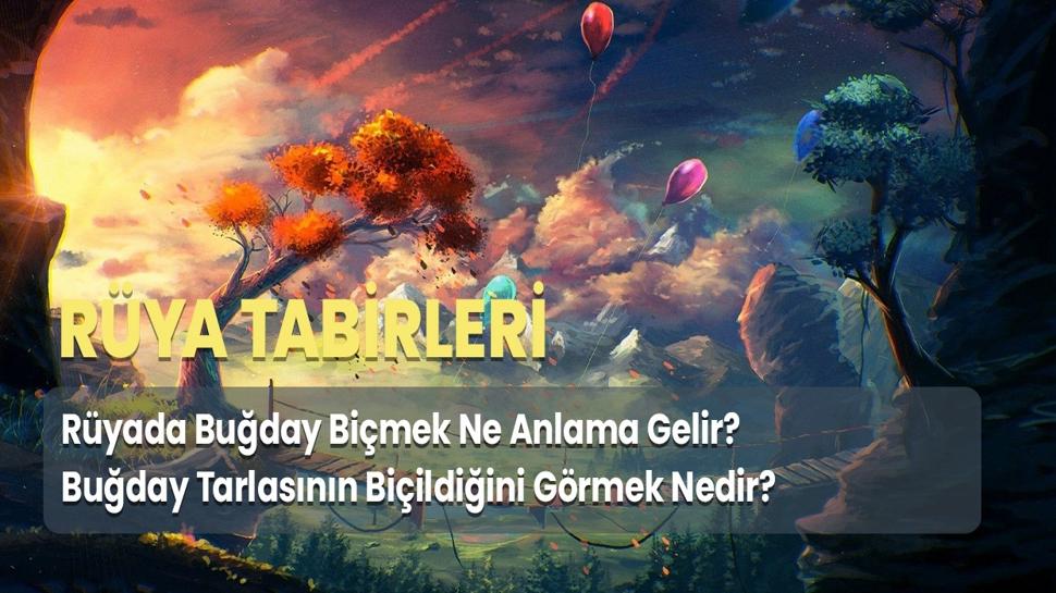 Rüyada Buğday Biçmek Ne Anlama Gelir? Buğday Tarlasının Biçildiğini Görmek Nedir?