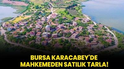 Bursa Karacabey'de mahkemeden satlk tarla!