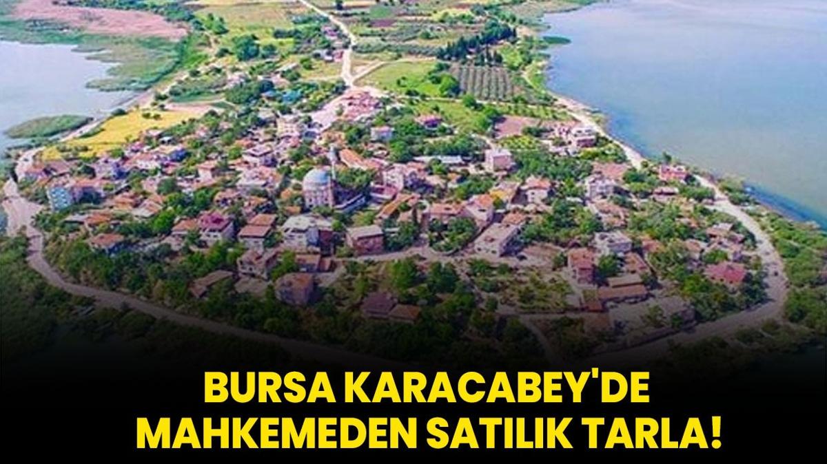 Bursa Karacabey'de mahkemeden satlk tarla!