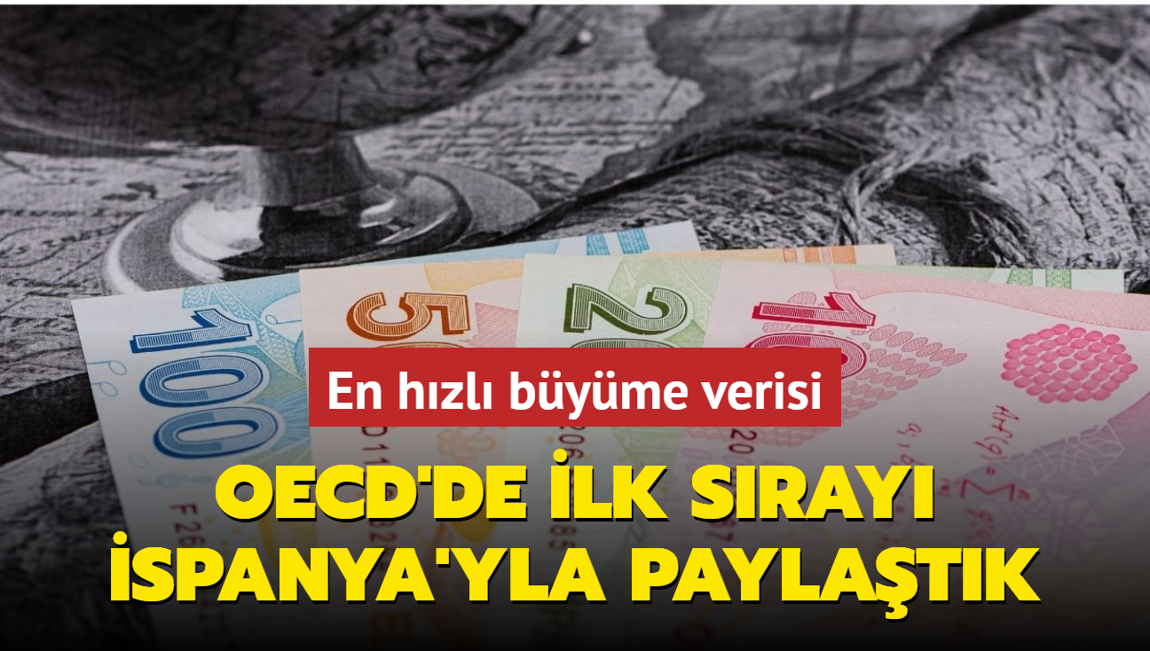 Trkiye byme oranyla OECD'de ilk sray spanya'yla paylat