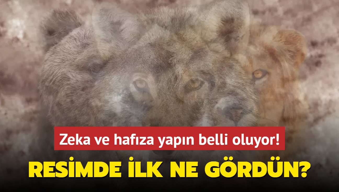 Kiilik testi: Resimde ilk grdn hayvan se! Zeka ve hafza yapn ren...