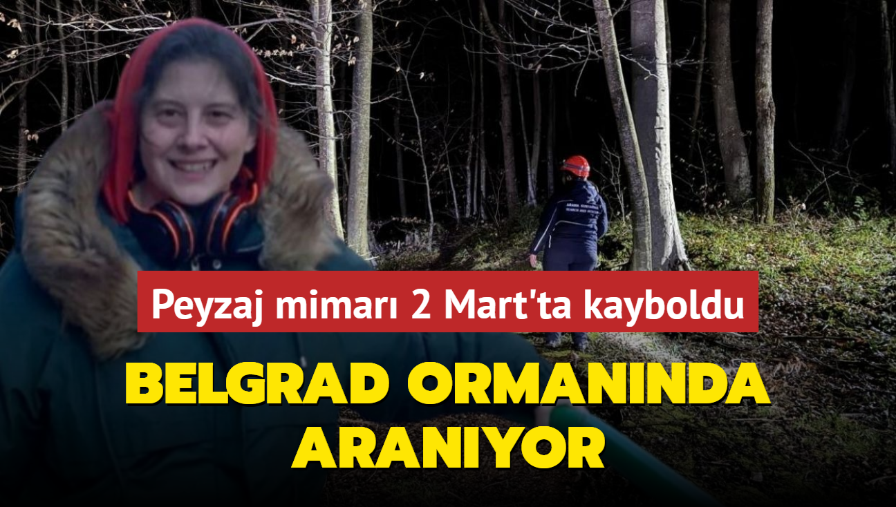 2 Mart'ta stanbul'da kaybolan mimar aranyor