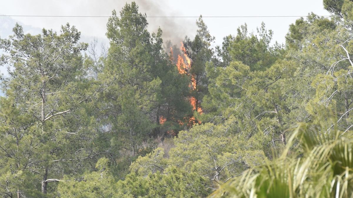 Kemer'deki yangn kontrol altnda! 