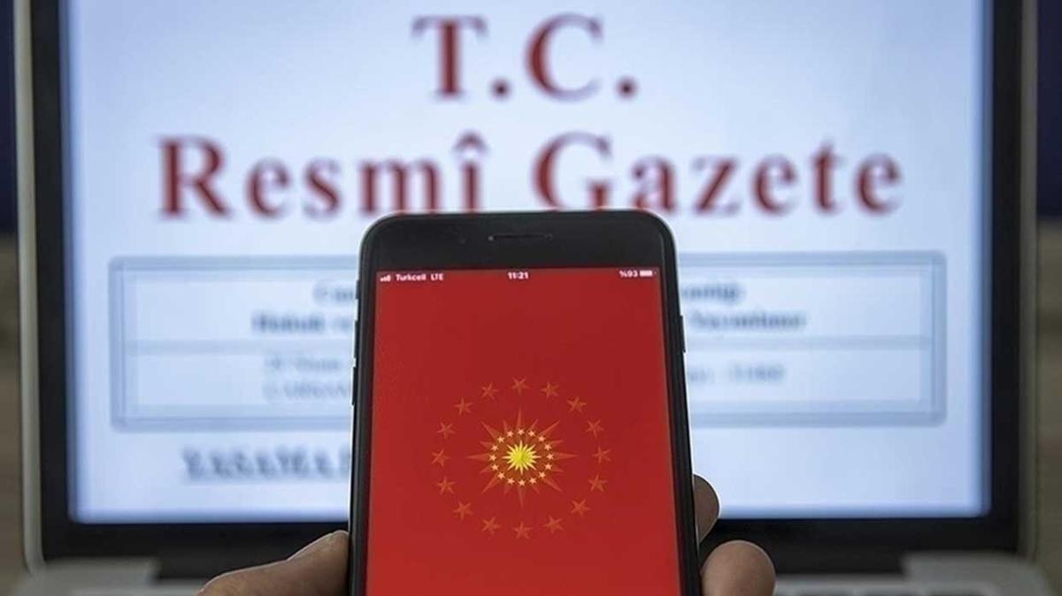 Ulusal St Konseyinin ynetim yapsna ilikin deiiklik Resmi Gazete'de