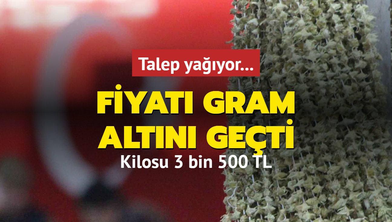 Talep yayor... Fiyat gram altn geti: Kilosu 3 bin 500 TL