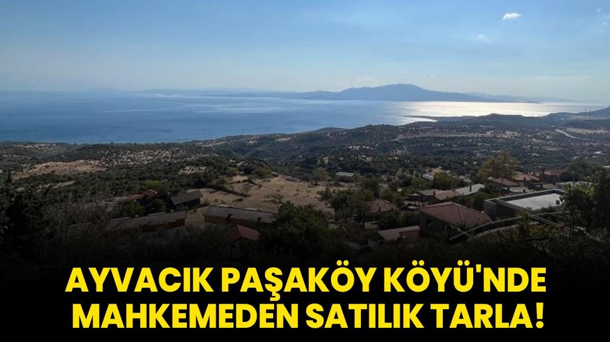 Ayvack Paaky Ky'nde mahkemeden satlk tarla!