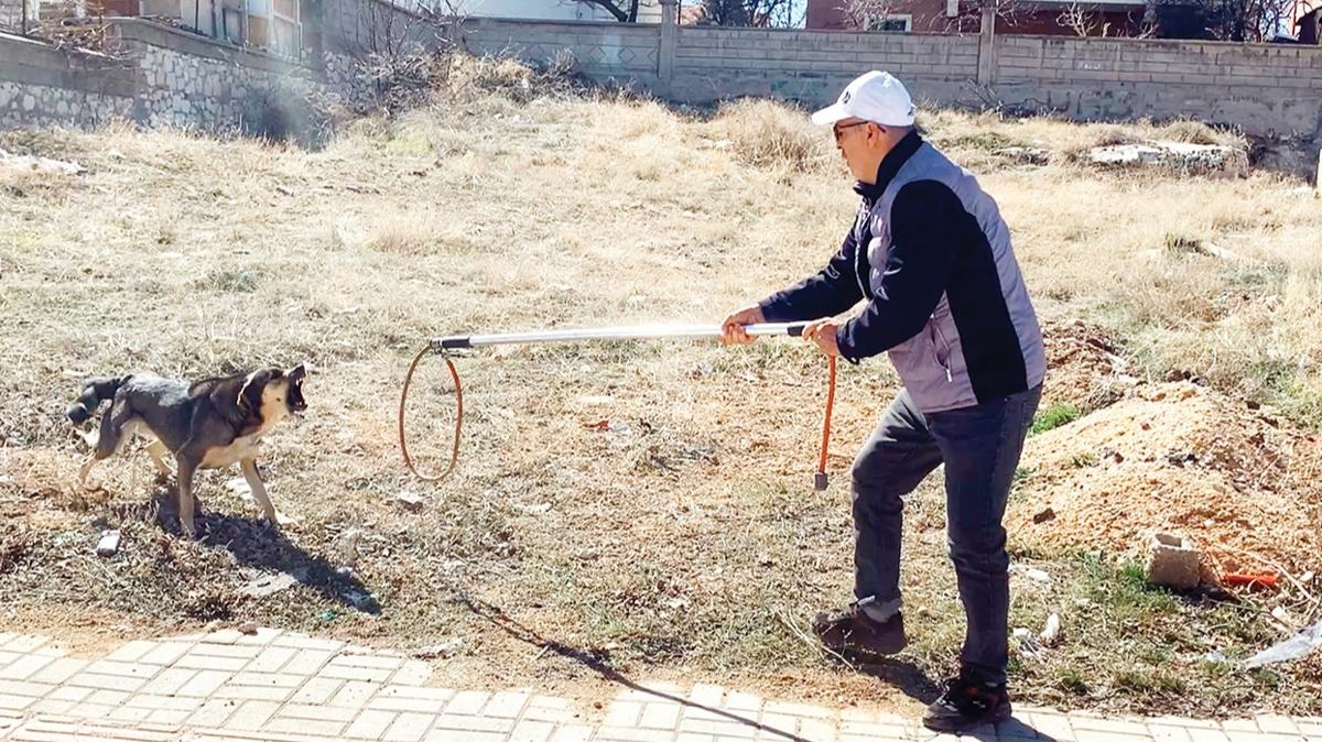 Baba ile olunun kpekle imtihan