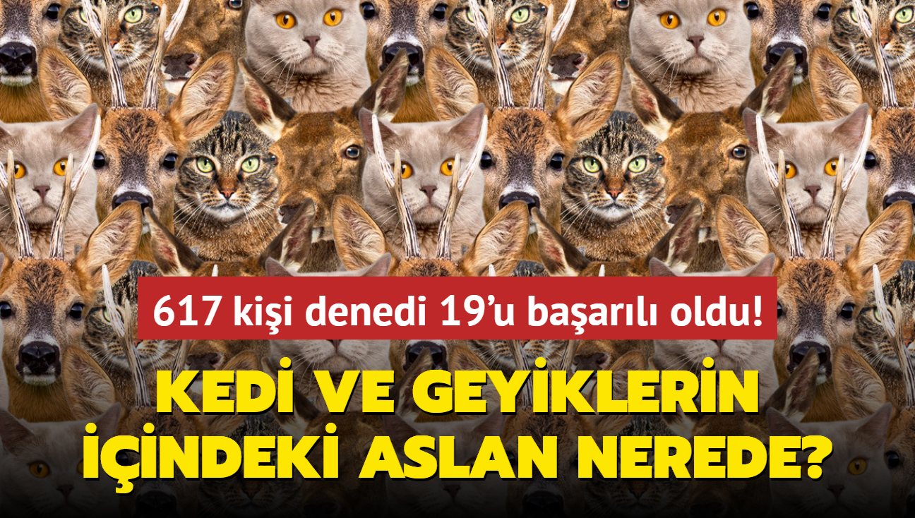 Zeka testi: Kedi ve geyiklerin iindeki aslan nerede" 617 kii denedi, 19'u baarl oldu