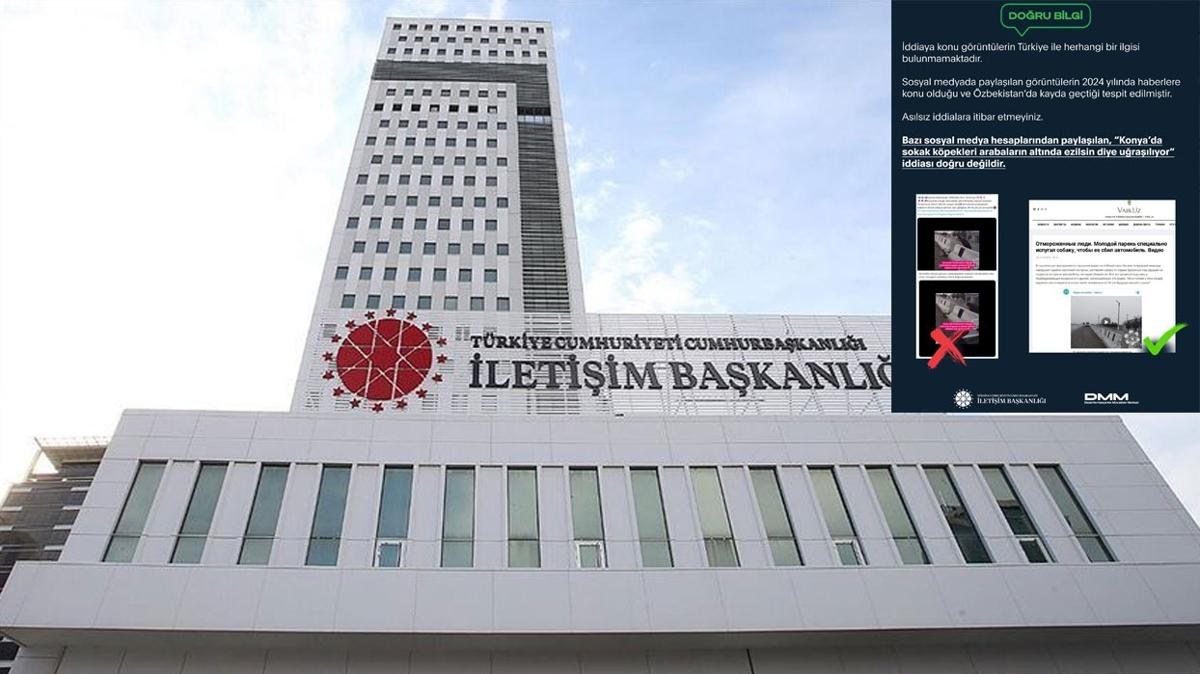 "Konya'da sokak kpekleri arabalarn altnda ezilsin diye uralyor" iddias yalanland
