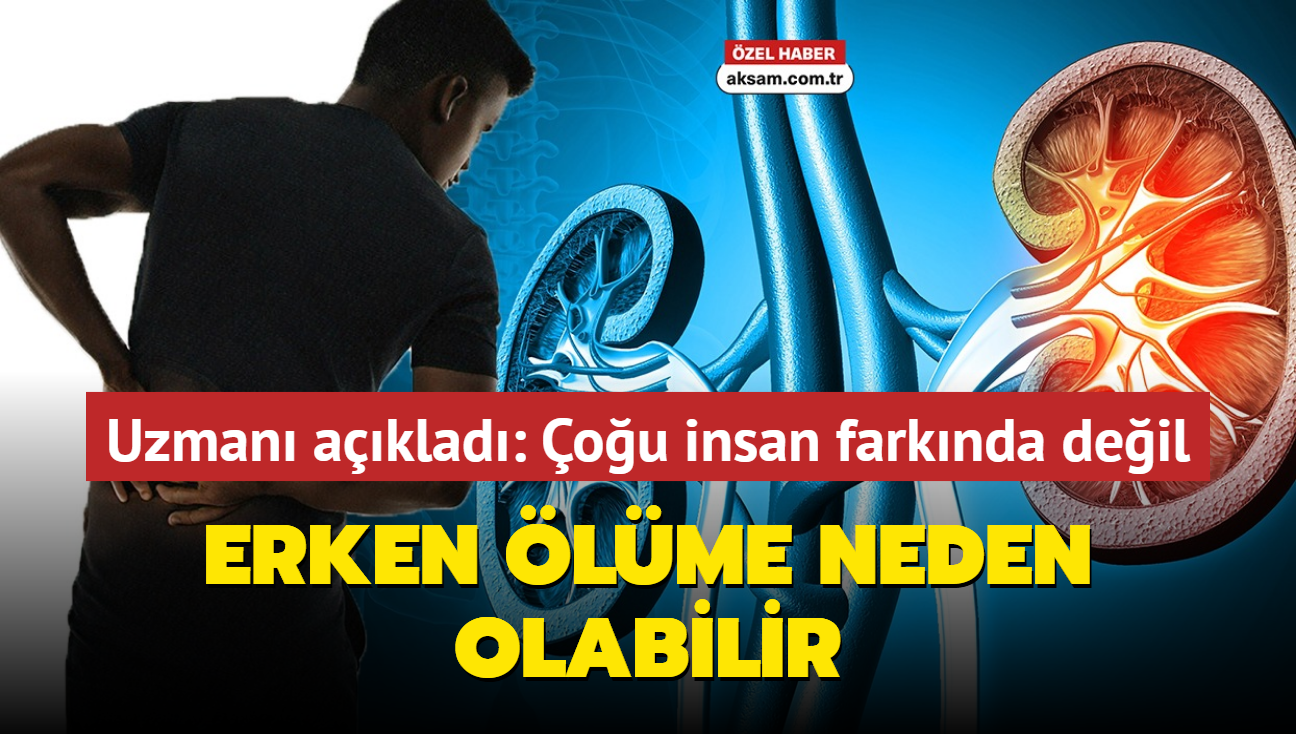 Uzman aklad: ou insan bbreklerinin farknda deil, erken lme neden olabilir