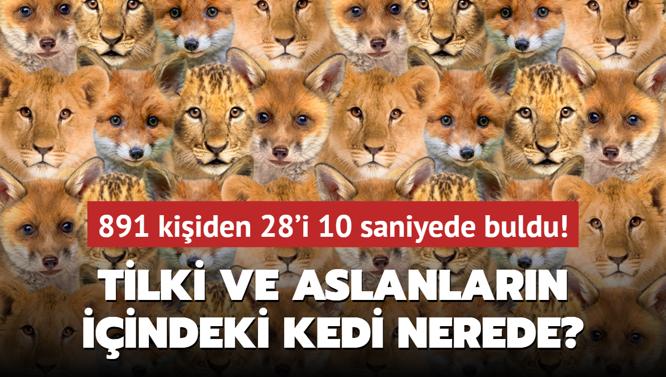 Zeka testi: Yavru tilki ve yavru aslanlarn iindeki kedi nerede" 891 kiiden 28'i 10 saniyede buldu