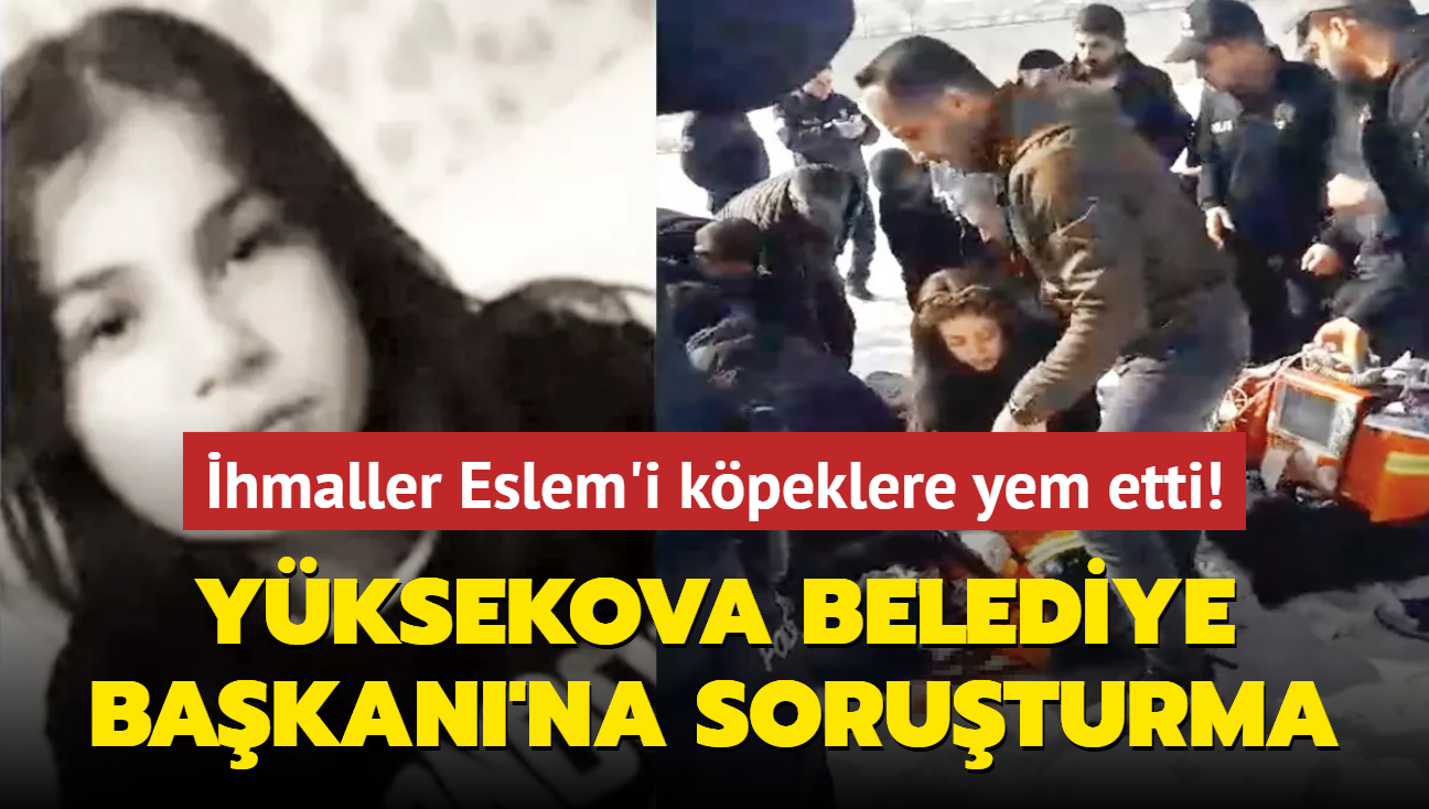 hmaller zinciri Eslem'i kpeklere yem etti! Yksekova Belediye Bakan'na soruturma