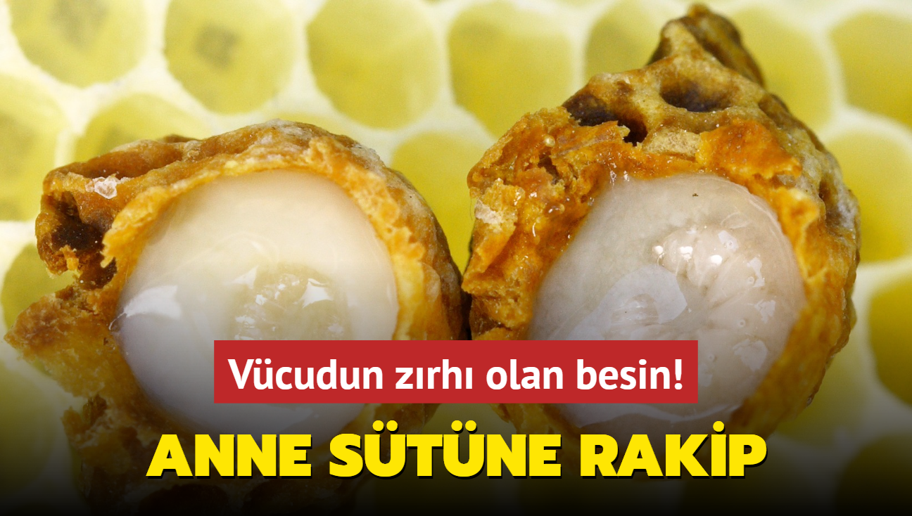 Vcudun zrh olan besin! Anne stne rakip, enfeksiyonu durduruyor