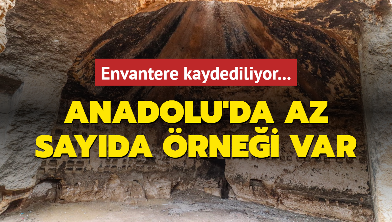 Anadolu'da az sayda rnei var... Envantere kaydediliyor...