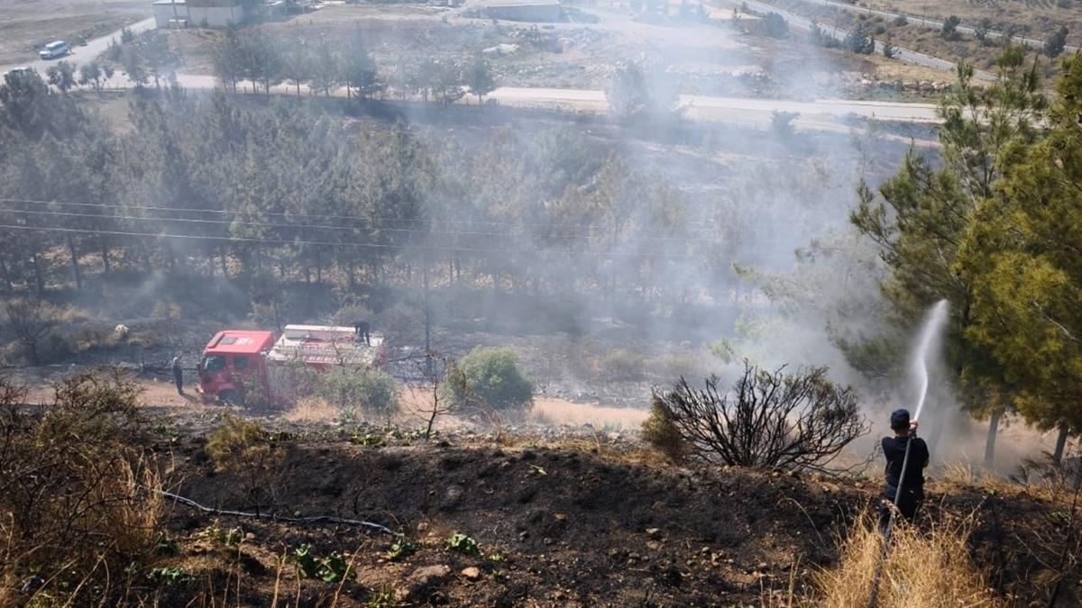 Hatay'da orman yangn