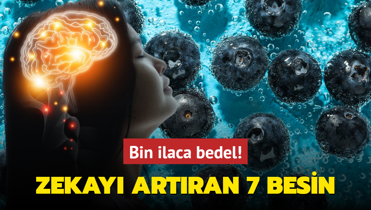 Bin ilaca bedel! Zekay artran 7 besin: Hafzay glendiriyor, odaklanmay artryor