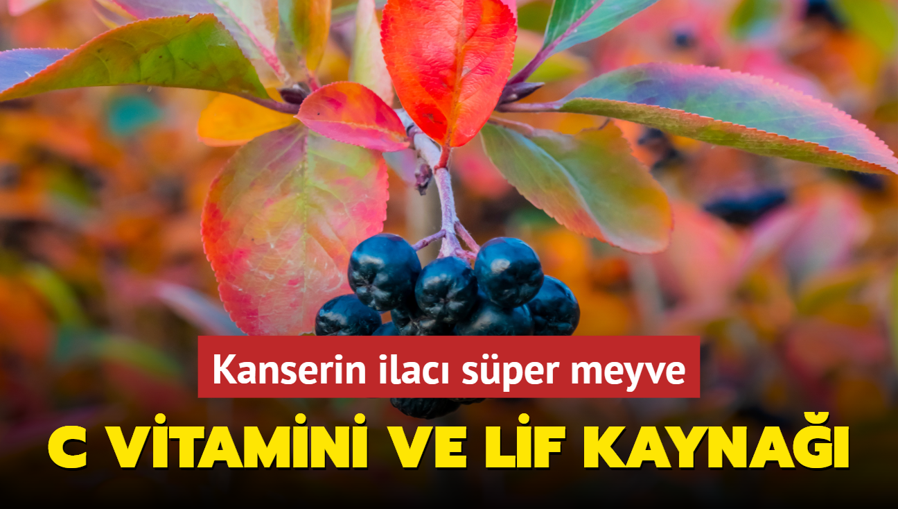 Kanserin ilac sper meyve! C vitamini, lif kayna, antioksidan deposu