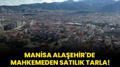 Manisa Alaehir'de mahkemeden satlk tarla!