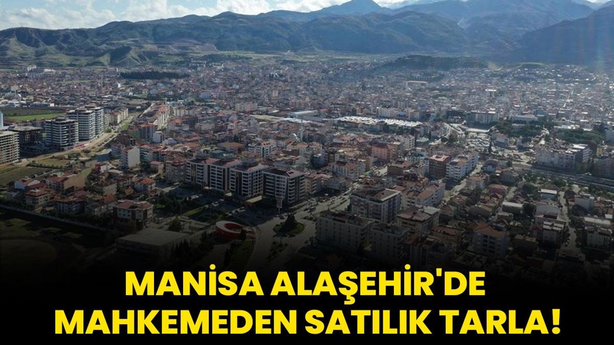 Manisa Alaehir'de mahkemeden satlk tarla!