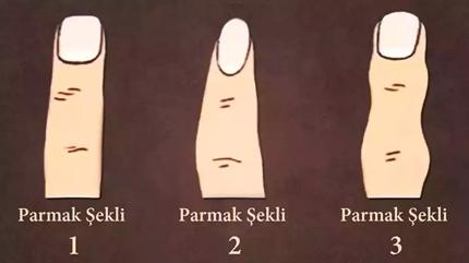 Kiilik testi: Gl olan zekan m yoksa hafzan m? Parman kontrol et ve ren...