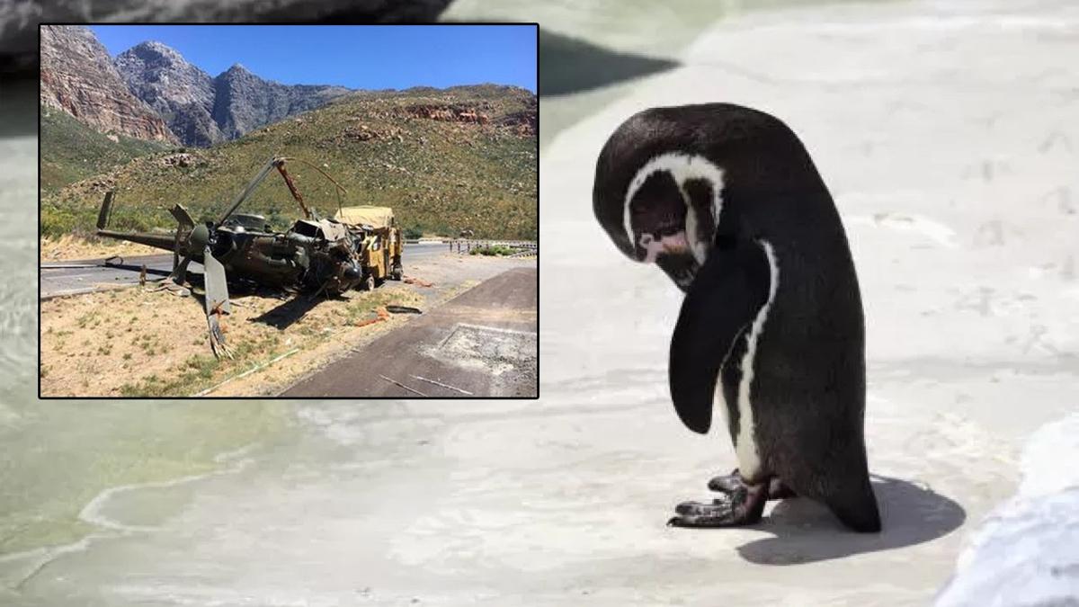 Helikopter kazasndan penguen sorumlu tutuldu