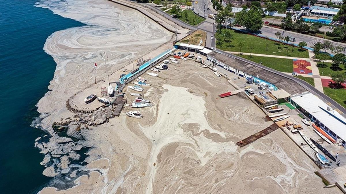 Marmara Denizi'nde msilaj kabusu geri dnd!