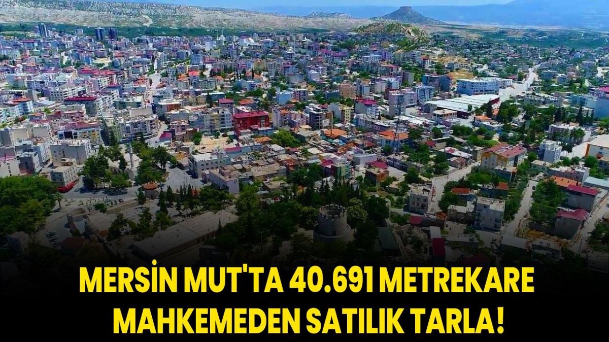 Mersin Mut'ta 40.691 metrekare mahkemeden satlk tarla!