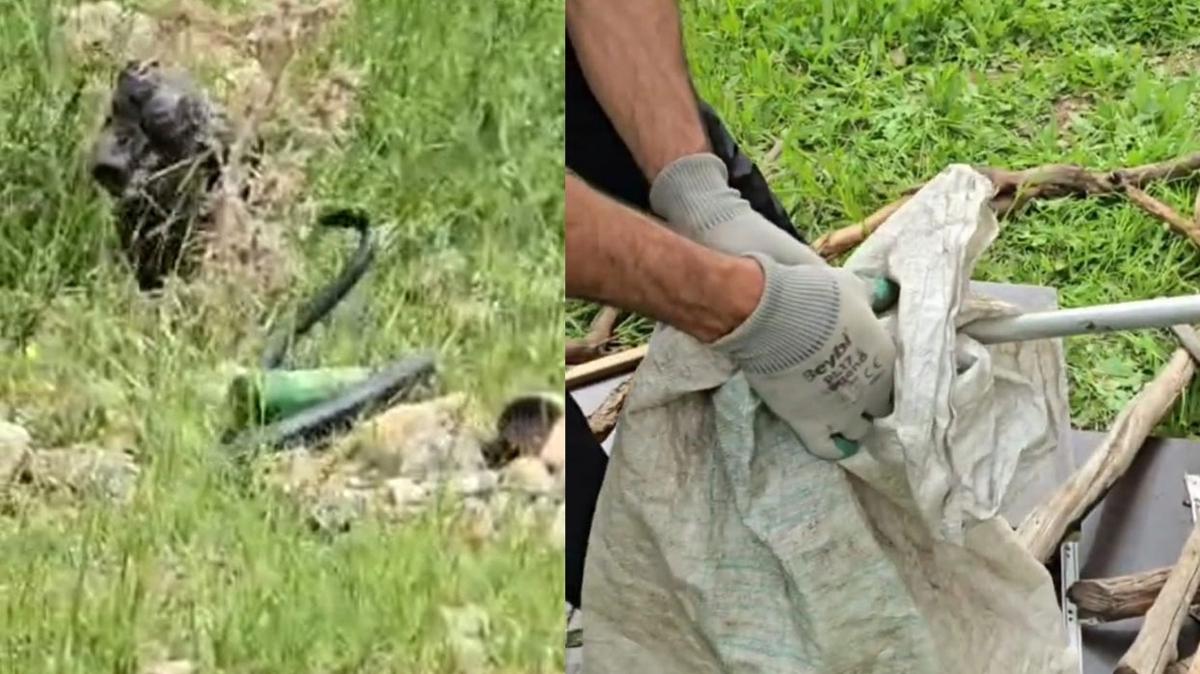 rnak'ta dev ylan panii: 2 metrelik boyuyla grenleri korkuttu