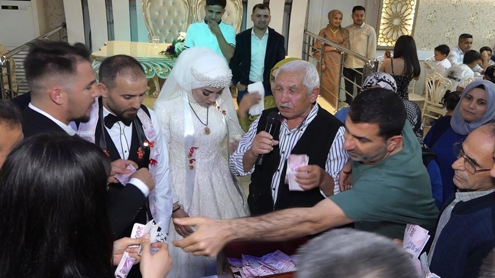 Dn salonu faresi