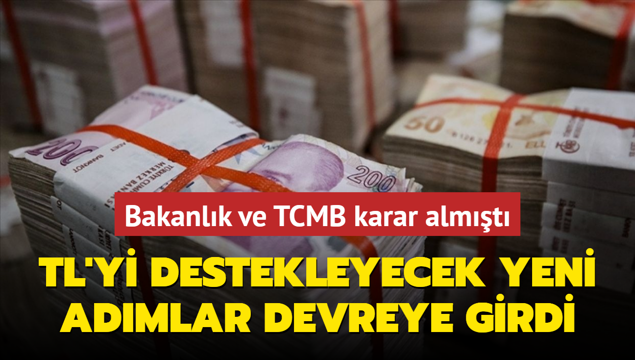 Bakanlk ve TCMB karar almt... Trk lirasn destekleyecek yeni admlar devreye girdi