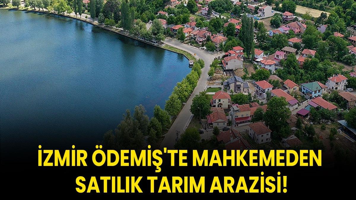 zmir demi'te mahkemeden satlk tarm arazisi!