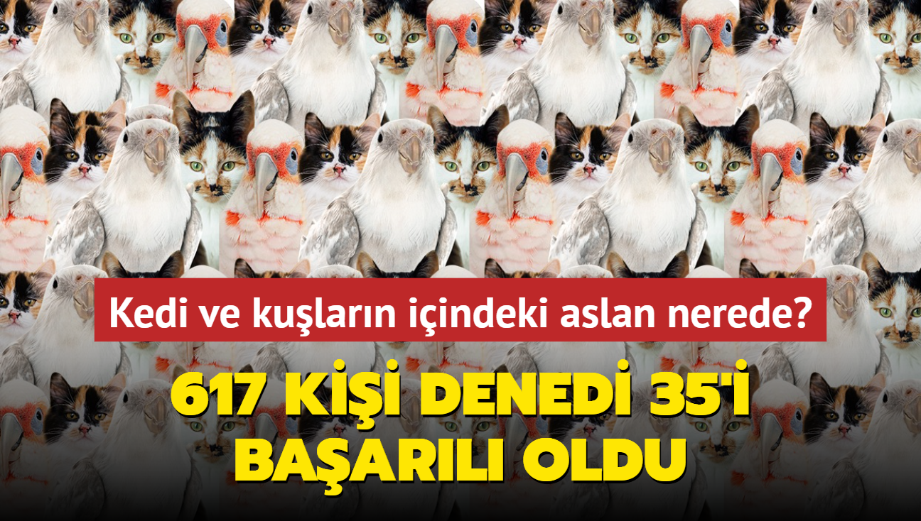 Zeka testi: Kedi ve kularn iindeki aslan nerede" 617 kii denedi, 35'i baarl oldu
