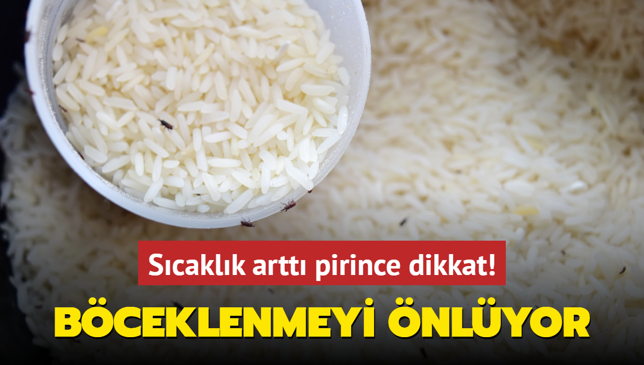 Scaklk artt dikkat! Pirinteki bcek ordusuna kar defne kalkan