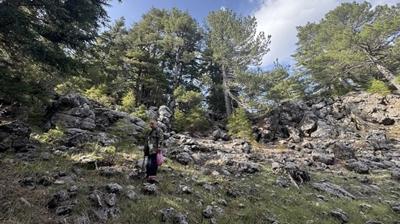 Blgede insanlarn geim kayna oldu... Bin 250 liraya satlyor: Toplamasnn zevki bir baka