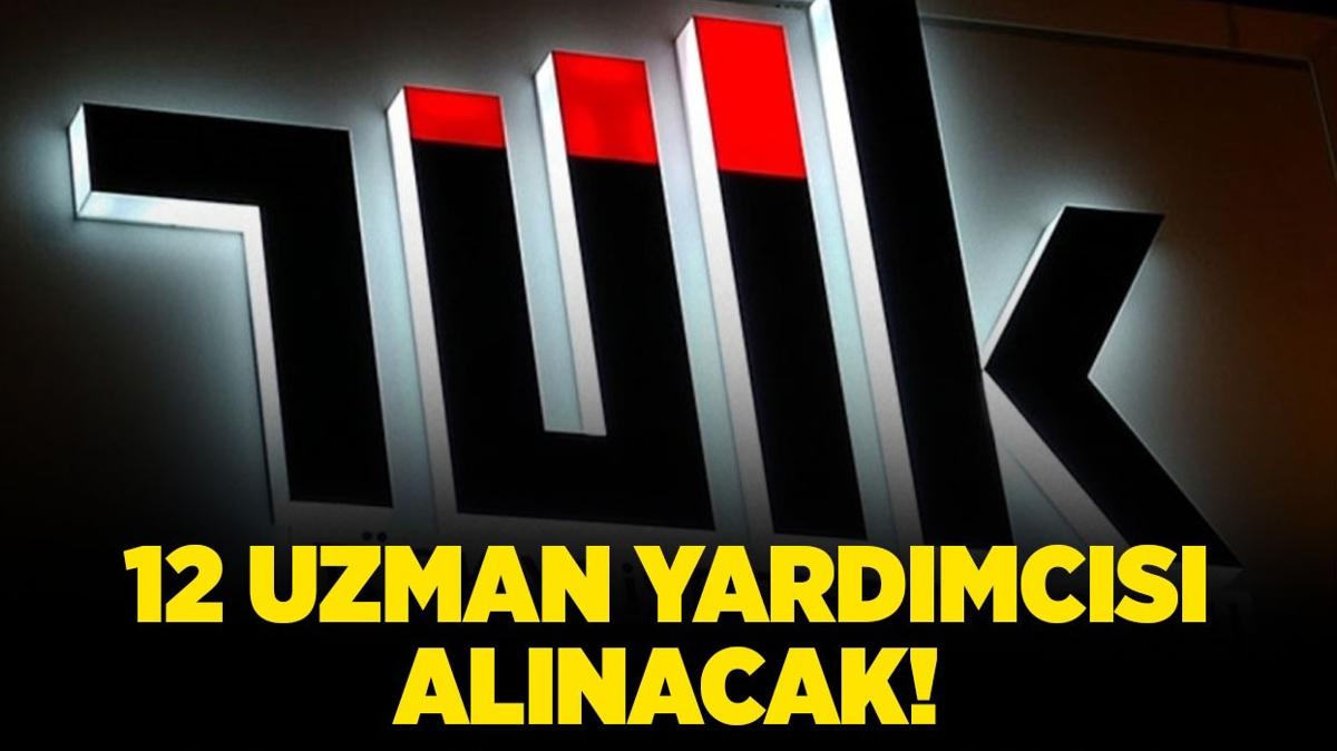 Trkiye statistik Kurumu (TK) 12 Uzman Yardmcs alacak!