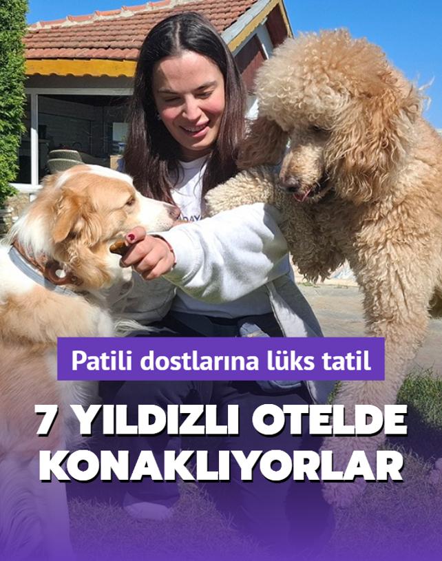 Patili dostlar 7 yldzl otelde konaklyor