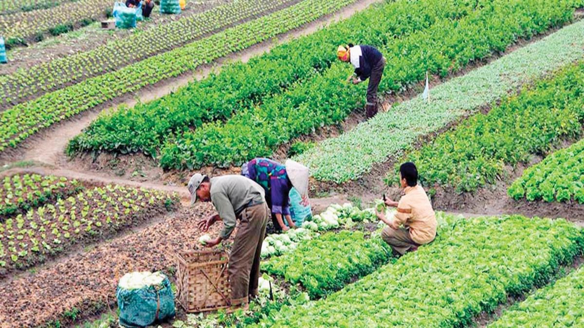 4. Tarm Orman uras'nda 371 hedef