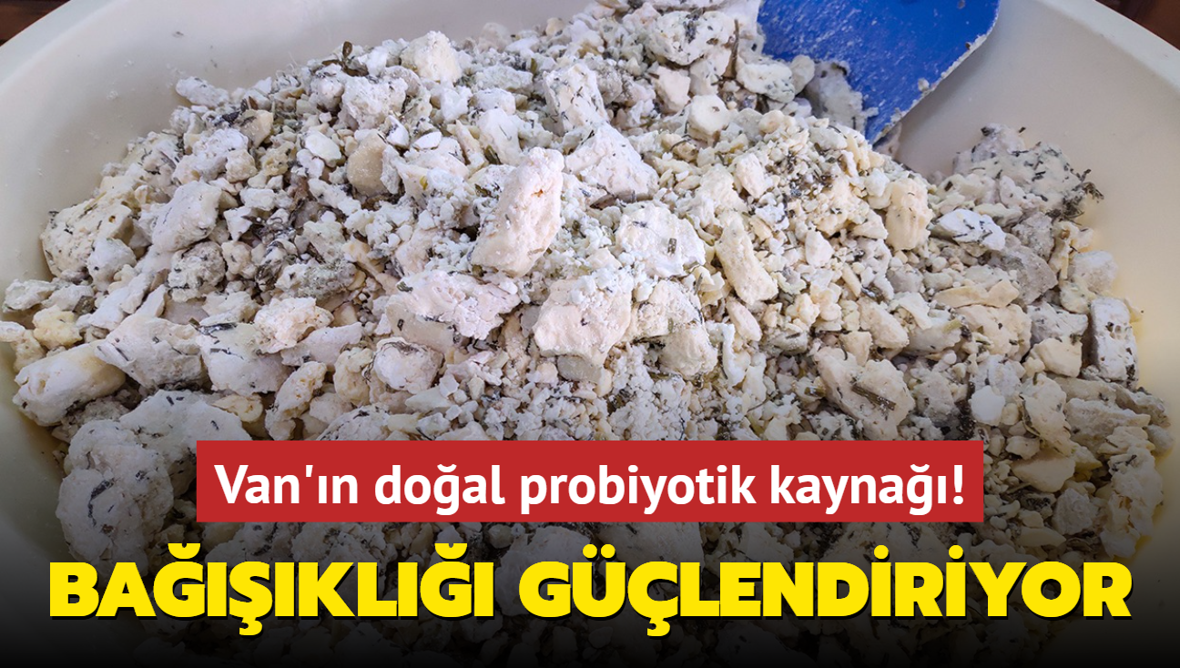 Turistler Van'dan kap kap alyor: Kilosu 400 lira! Probiyotik deposu, bakl glendiriyor