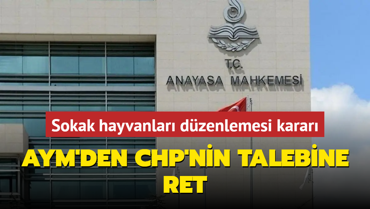 Sokak hayvanları düzenlemesi kararı! AYM'den CHP'nin talebine ret