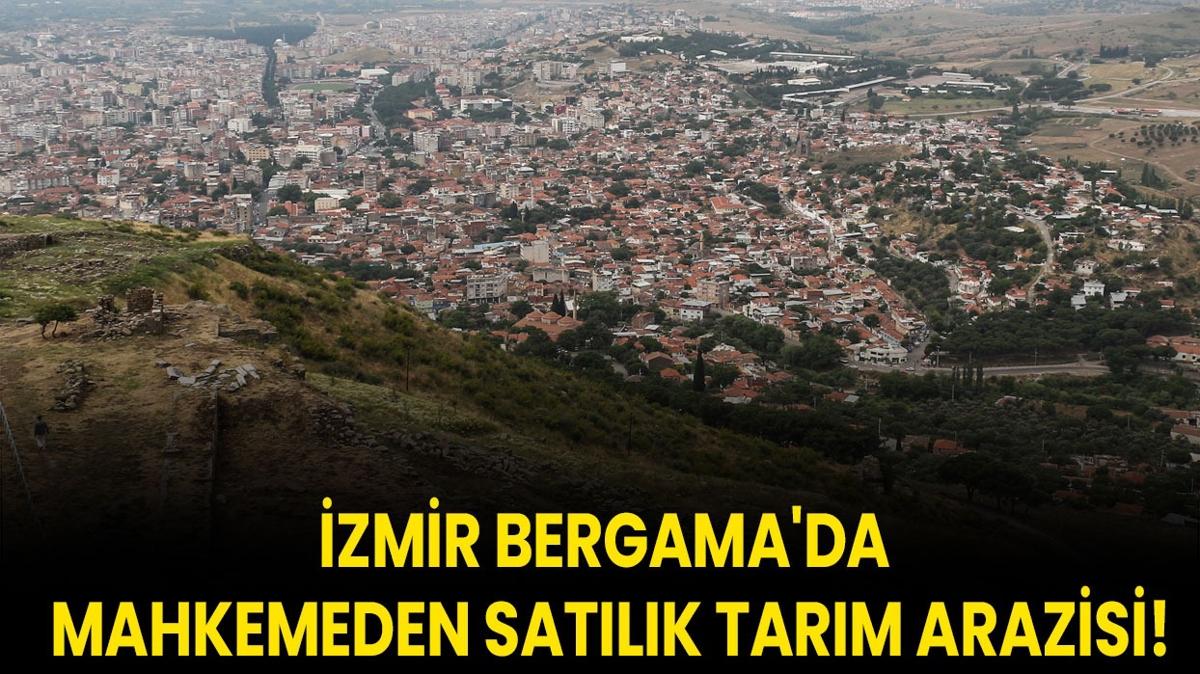 zmir Bergama'da mahkemeden satlk tarm arazisi!