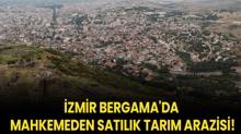 zmir Bergama'da mahkemeden satlk tarm arazisi!