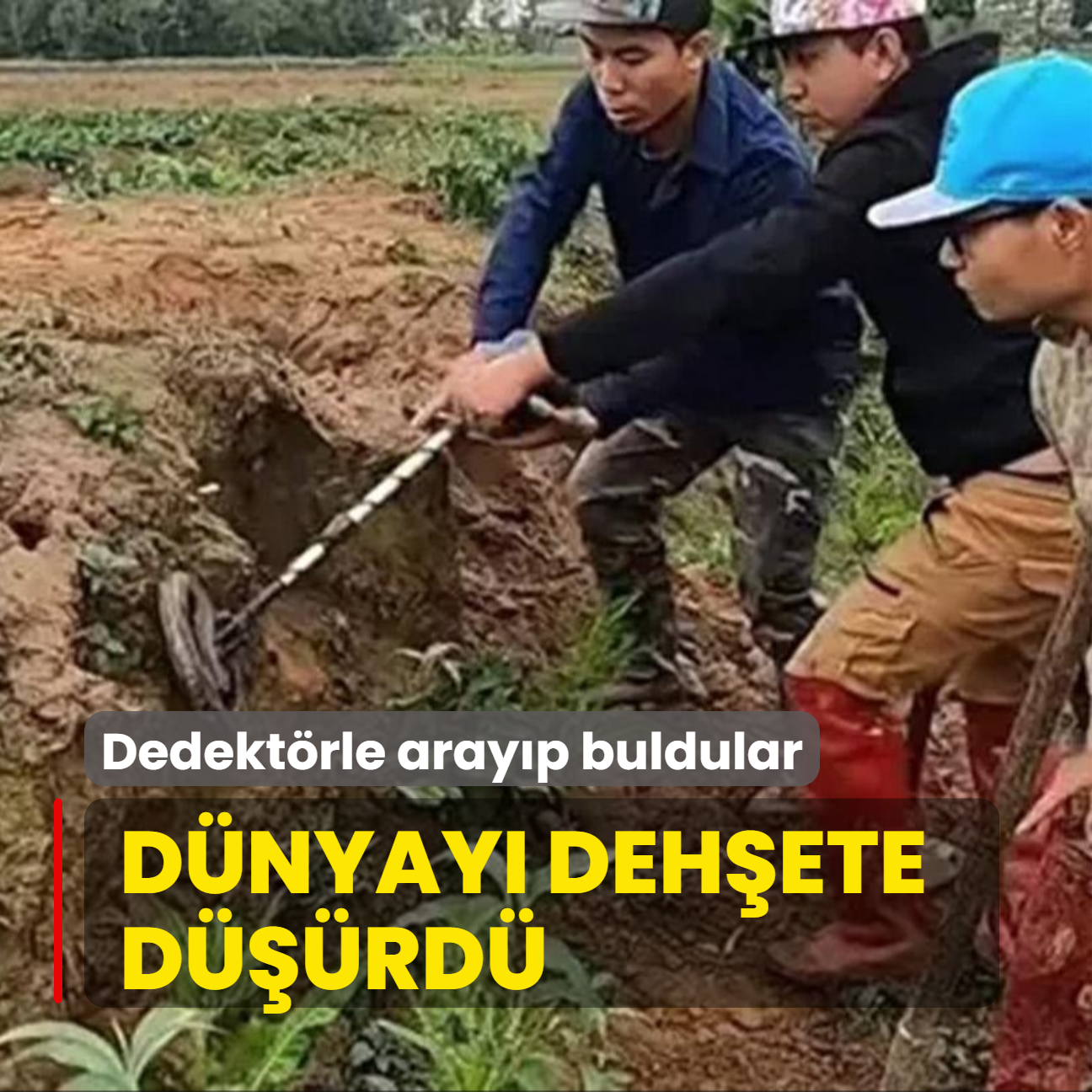 Tm dnyay dehete drd! Dedektrle arayp buldular