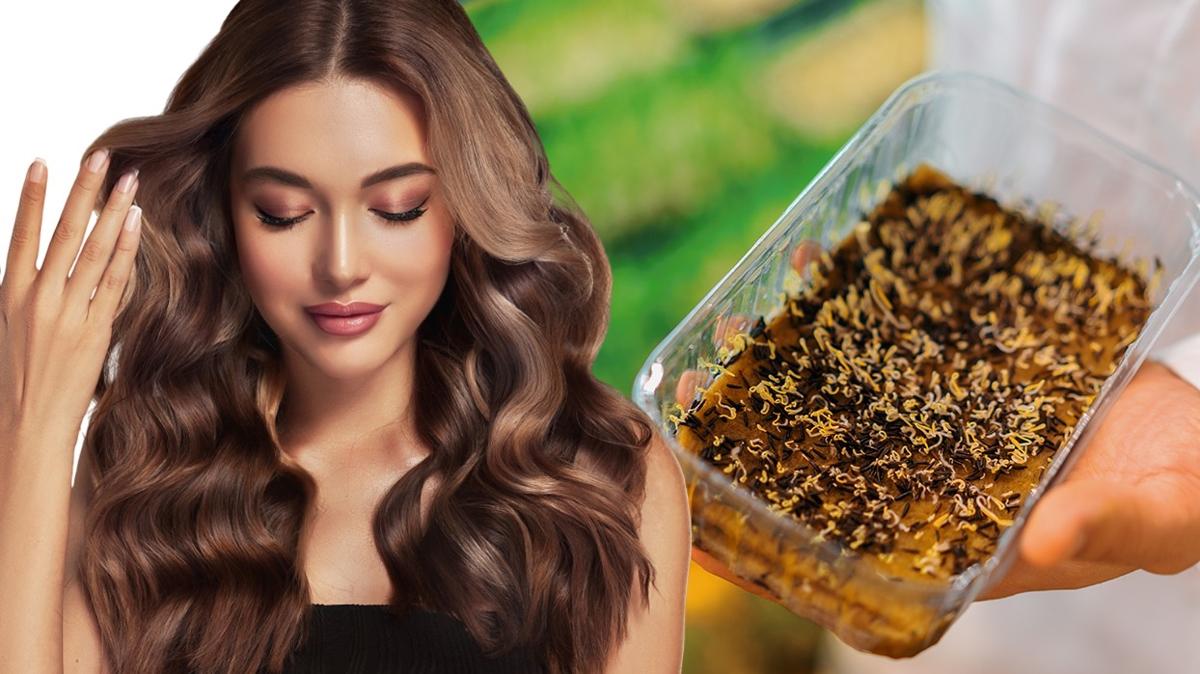 Msrllarn favorisi! Omega-3 bitkisi: Ne egzama kalyor ne sa dklmesi