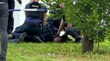 Kampste baltal dehet