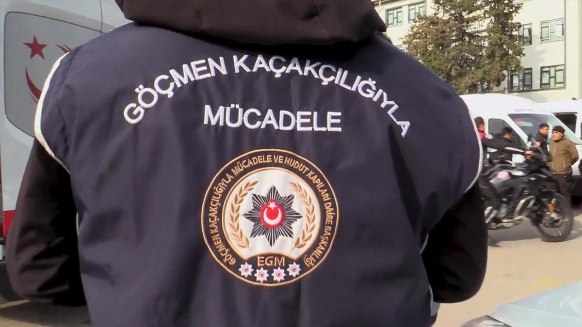 stanbul polisi, organ ticareti yapan phelileri yakalad