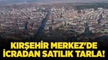 Krehir Merkez'de 15.896.000 TL'ye icradan satlk tarla!