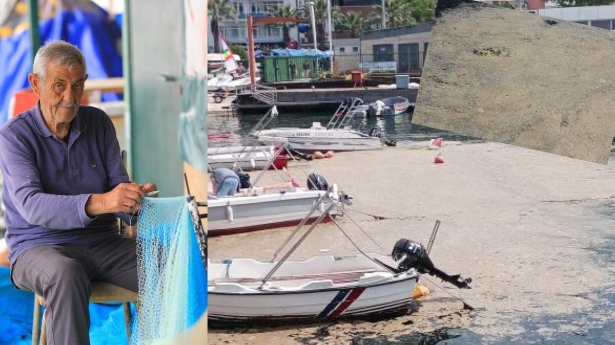 Msilaj balklarn kabusu oldu... "Kazancmz a tamirine gidiyor"
