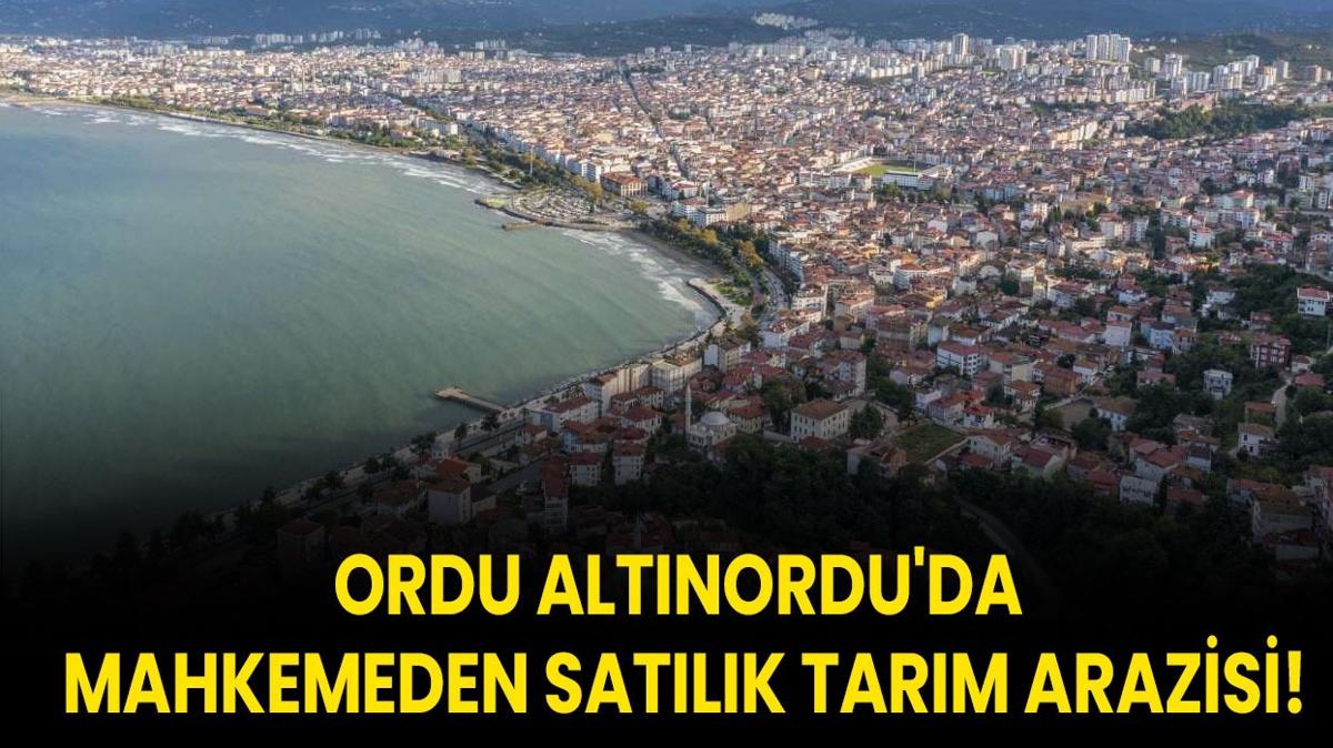 Ordu Altnordu'da mahkemeden satlk tarm arazisi!