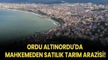 Ordu Altnordu'da mahkemeden satlk tarm arazisi!